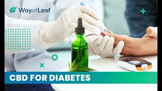 CBD For Diabetes - Does It Work?
