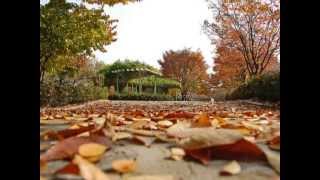 Autumn in My Heart ost.Endless Love Korean Drama