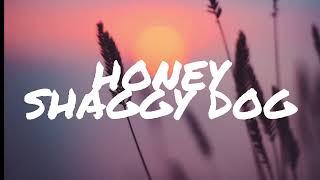 Shaggydog - Honey (Video Lirik)