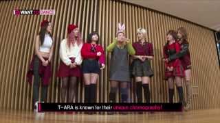 [K-POP DANCE LESSON] "Do You Know ME?" by T-ara