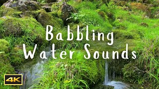 Guide Yourself to Tranquility with Soft Babbling Water - 10HRS