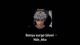 Banyu Surgo (slow+reverb) - Ndx_Aka