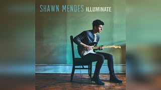 Shawn Mendes - There's Nothing Holdin' Me Back (Official Audio)