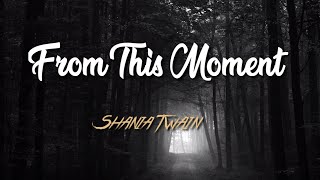 Shania Twain - From This Moment On (Lyric Video)
