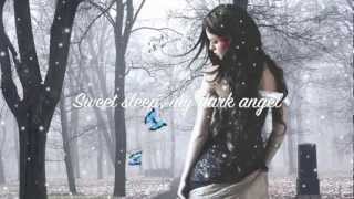 Evanescence~ My Heart Is Broken (lyrics)