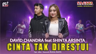 Shinta Arsinta Feat David Chandra - Cinta Tak Direstui | Dangdut (Official Music Video)