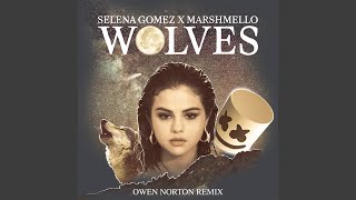 Wolves (Owen Norton Remix)