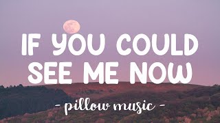 If You Could See Me Now - The Script (Lyrics) 🎵