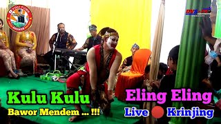 Kulu Kulu // Eling Eling || Bawor Mendem ... !!! || New Arista Music || Live 🔴 Petir - Krinjing