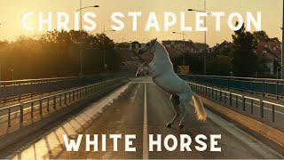 Chris Stapleton - White Horse (Unofficial Music Video)