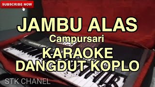 JAMBU ALAS ( Campursari Hits) KARAOKE DANGDUT KOPLO STK CHANEL