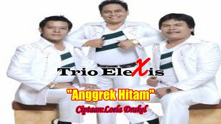 ANGGREK HITAM ||TRIO ELEXIS ||LAGU POP INDONESIA||LAGU NOSTALGIA