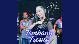 Tembang Tresno (feat. New Pallapa)