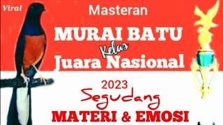masteran "MURAI BATU kelas JUARA NASIONAL" segudang MATERI // Cililin,Tengkek,Kenari,Jalak, dll...