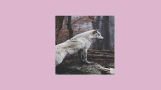 selena gomez // wolves (slowed+reverb)