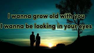 I wanna grow old with you _westlife(lyrics video)