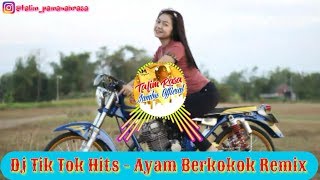 Dj Tik Tok Hits - Ayam Berkokok Remix
