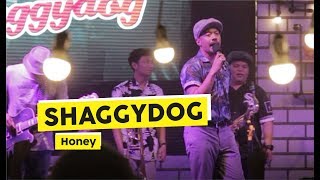 Shaggydog - Honey (Live at THE BIG START BLIBLI.COM)