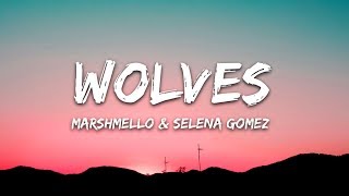 Selena Gomez, Marshmello - Wolves (Lirik)
