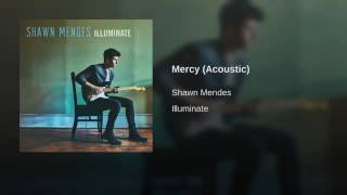 Shawn Mendes - Mercy (Acoustic)