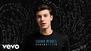 Shawn Mendes - Imagination (Official Audio)